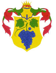 belvardgyula.hu logó